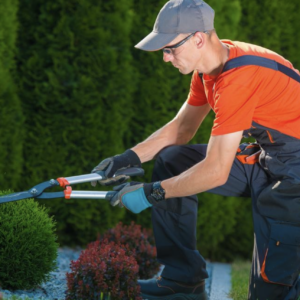 Lawn Care and Maintainance