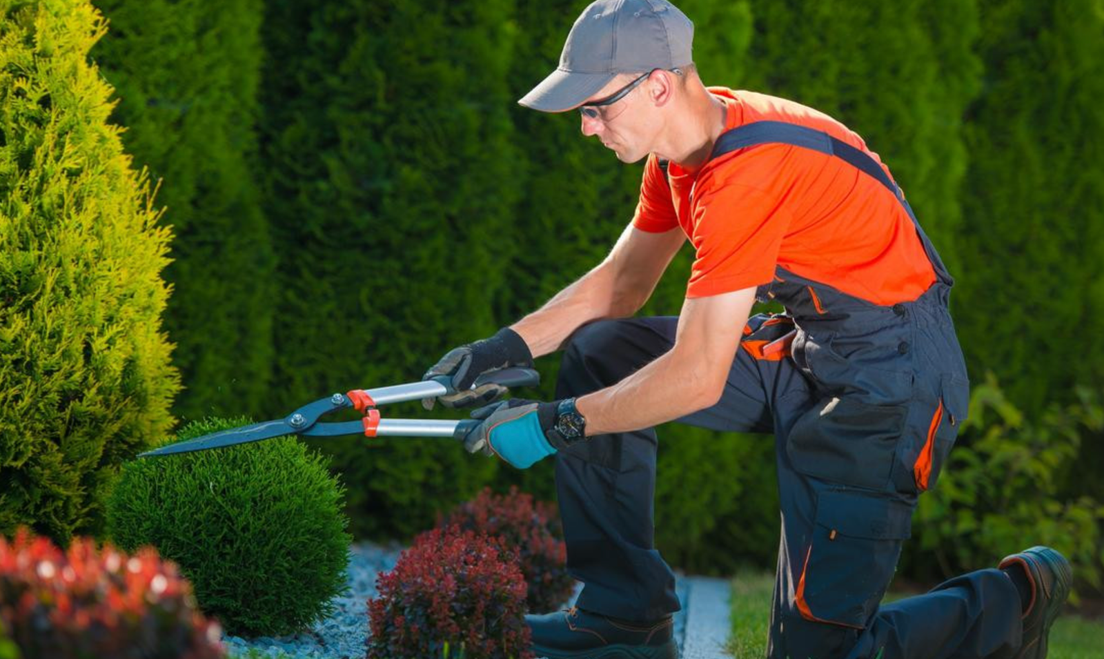 Lawn Care and Maintainance
