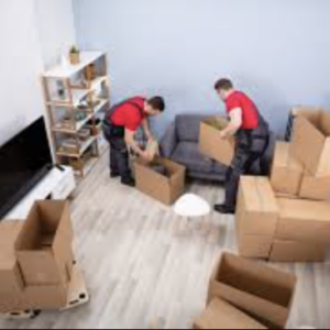 Packing & Unpacking Assistance