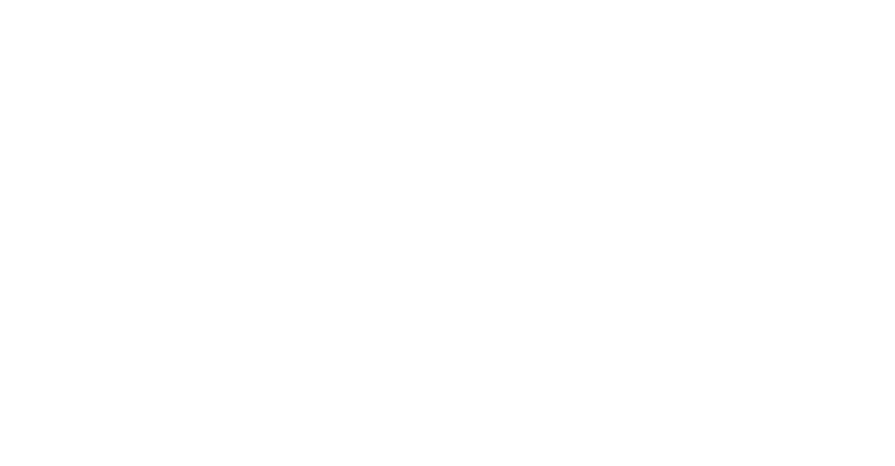 Gurus 911